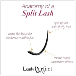Lash Perfect C Curl 0.15 Flat Lashes - 12Mm