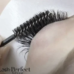 Lash Perfect Escovas Descartáveis Para Pestanas E Sobrancelhas