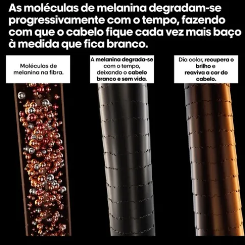 L’Oréal Pro Coloração Dia Color 6.31