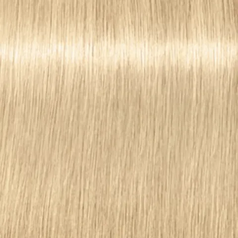 Schwarzkopf Coloração Igora Royal Highlifts 12-0