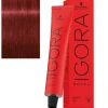 Schwarzkopf Professional Coloração Igora Royal 6-88