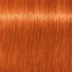 Schwarzkopf Professional Coloração Igora Royal 8-77
