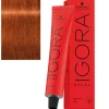 Schwarzkopf Professional Coloração Igora Royal 7-77