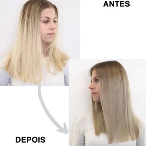 Subrina Professional Refresh Colour Loção De Cor - Silver 10/2